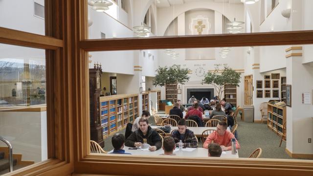 Alvernia students study in the library.